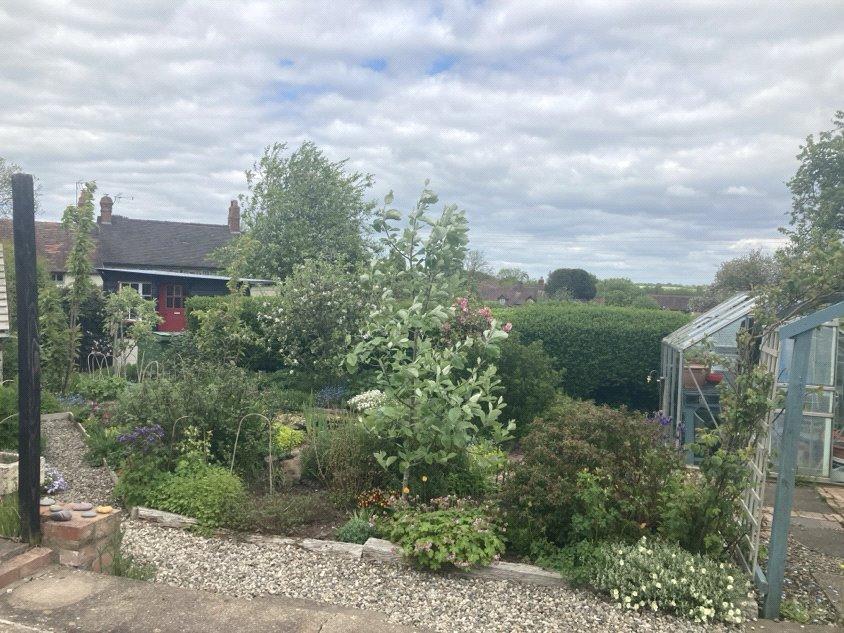 Garden In The Summer