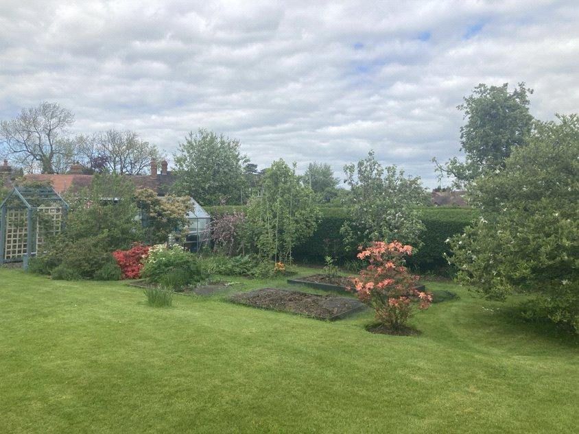 Garden In The Summer