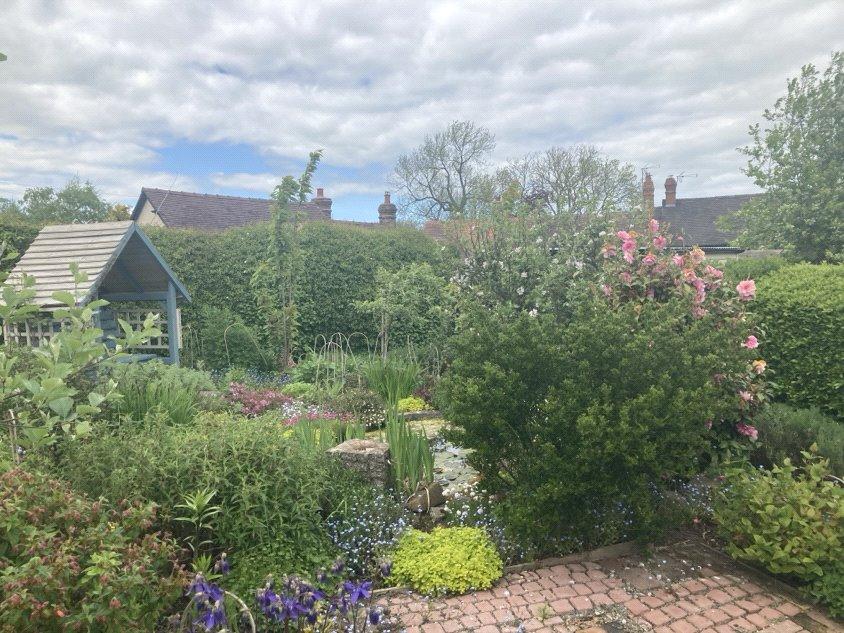 Garden In The Summer