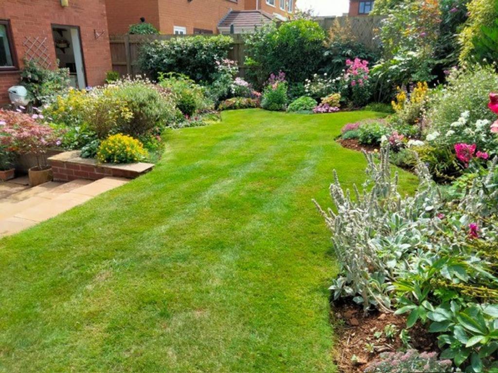 Garden (vendor 2).jpg