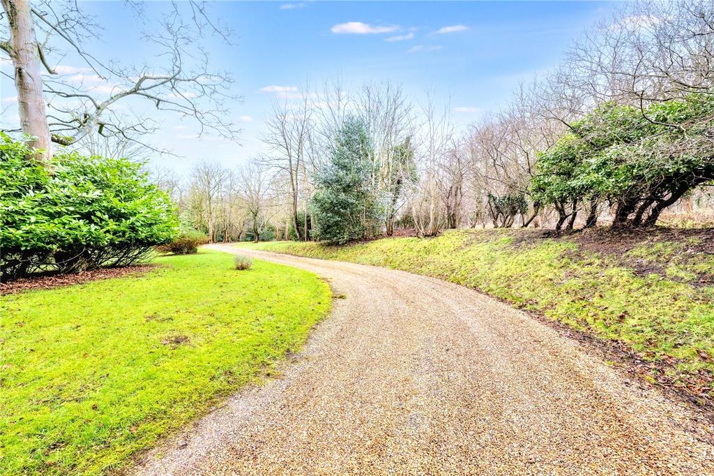 Driveway