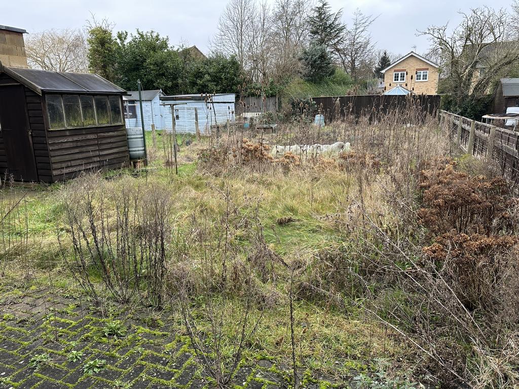Garden.JPG