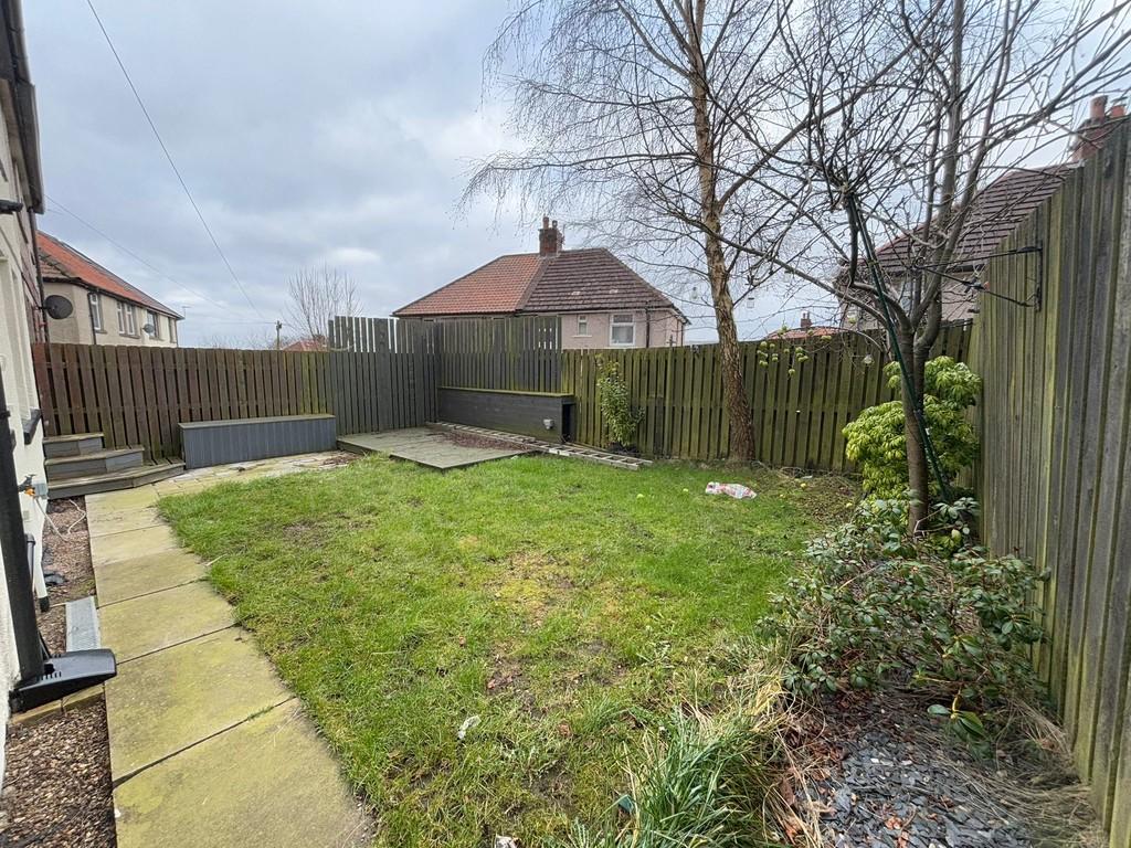 Back garden