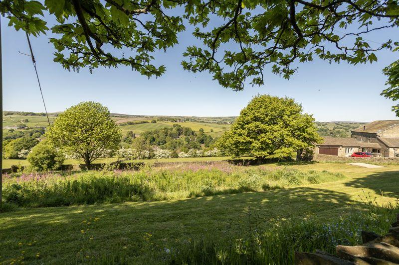 Meadow