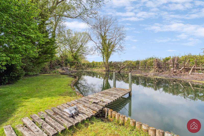 Pond