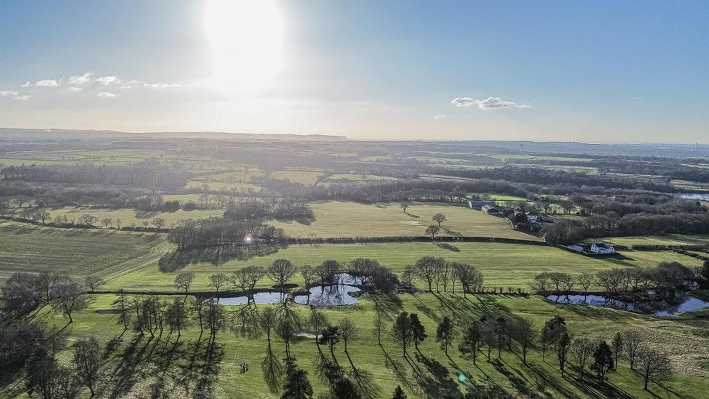 Aerial Views