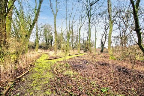 4 bedroom bungalow for sale, The Street, Wissett, Halesworth, Suffolk, IP19