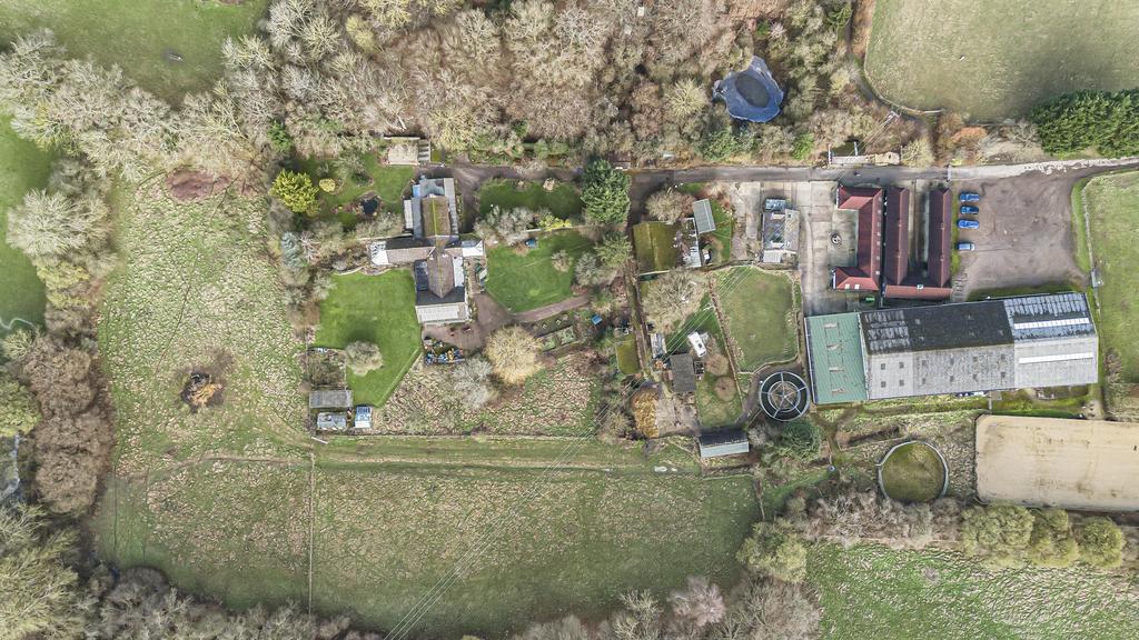 Ariel View