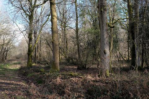 undefined, Dunpits Lane, Cranleigh GU6