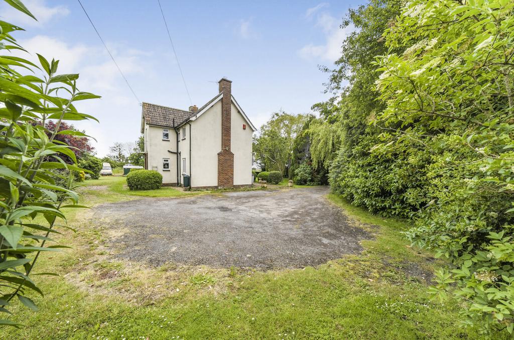 Back Garden