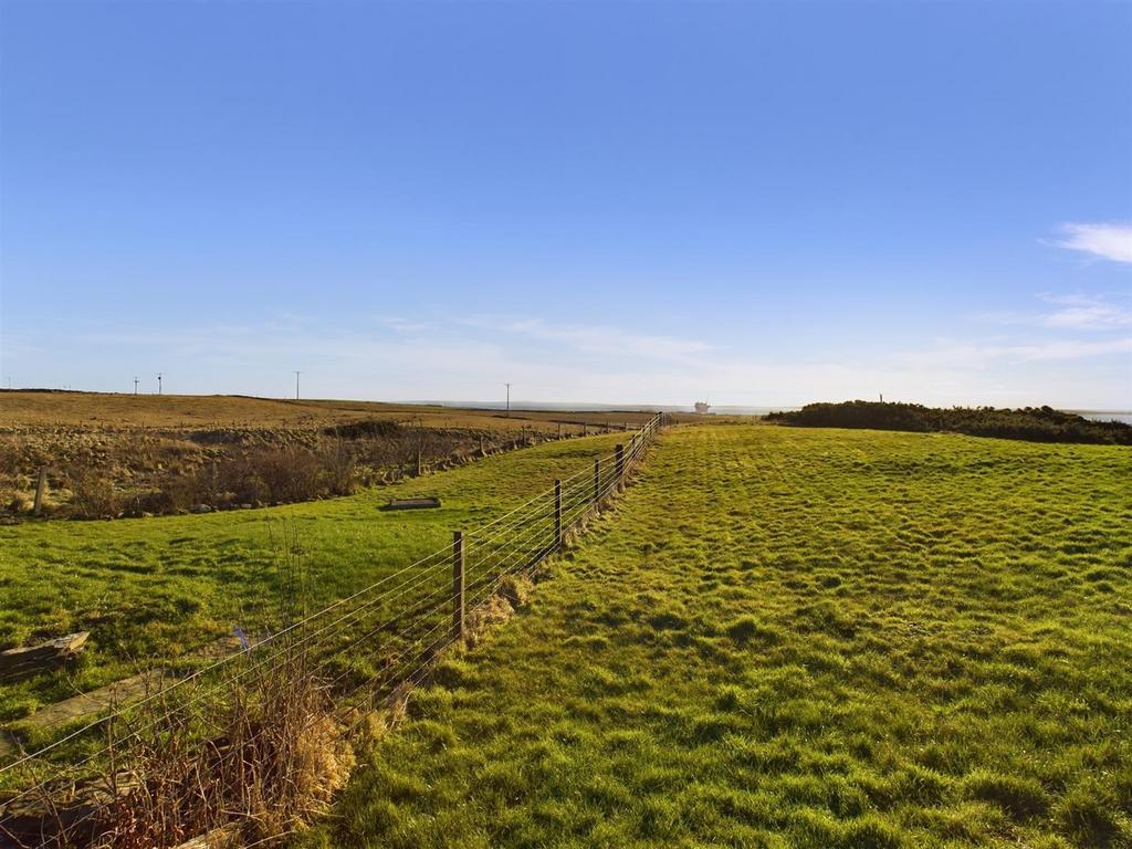 Field