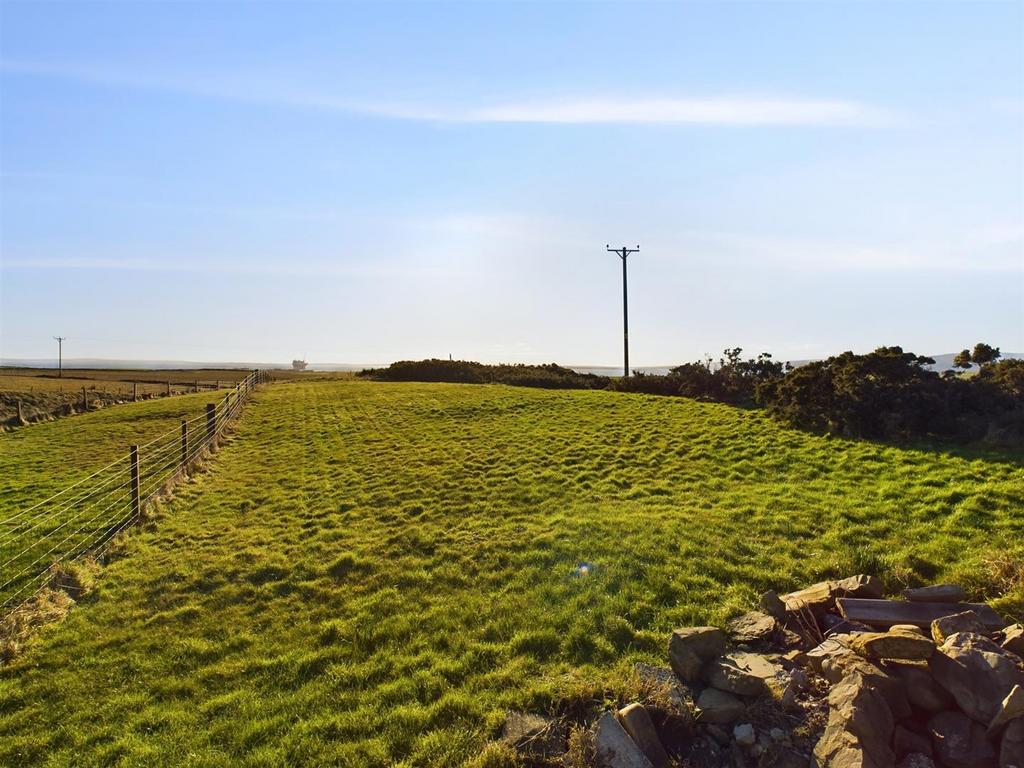Field