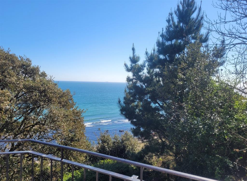 Balcony View*