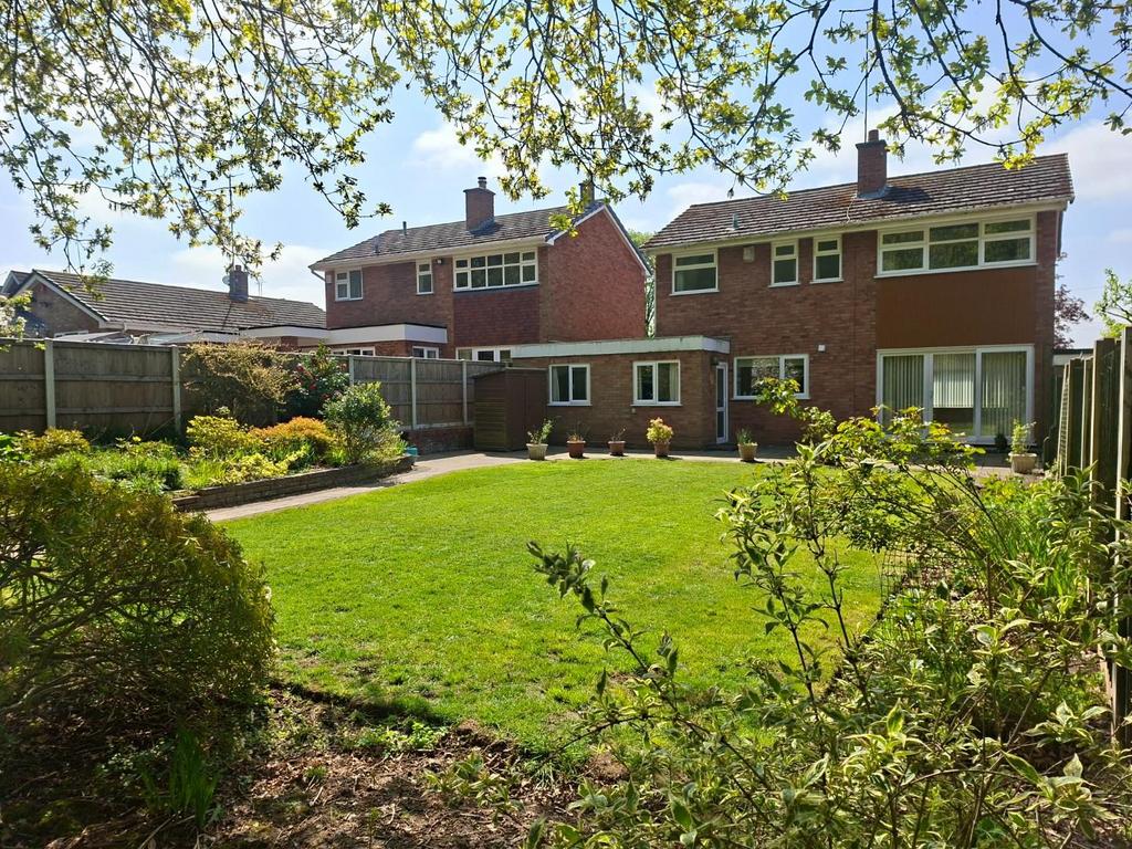 Back Garden 4.jpg