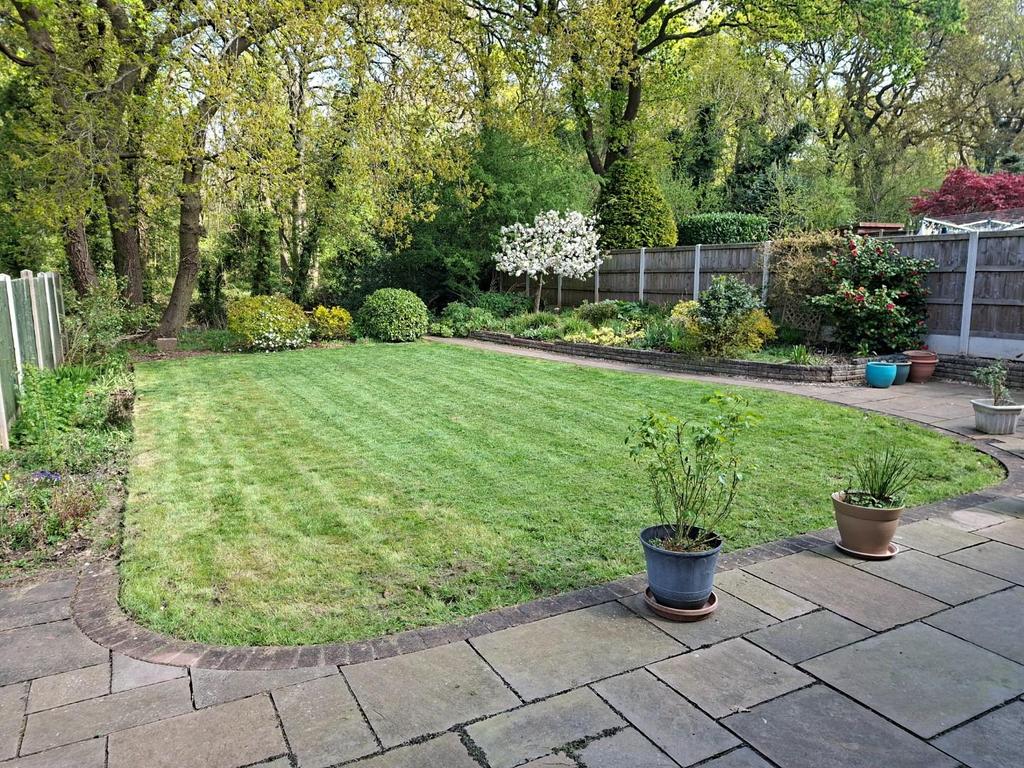 Back Garden 2.jpg
