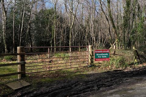 Woodland for sale, Tortington Lane, Arundel BN18