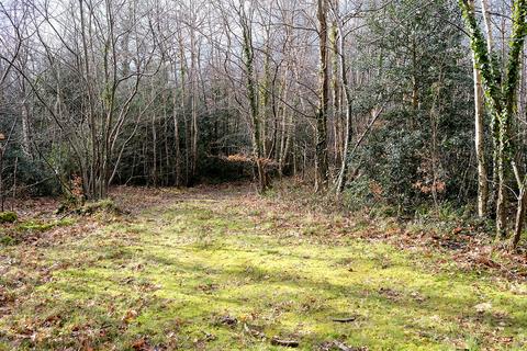 Woodland for sale, Tortington Lane, Arundel BN18