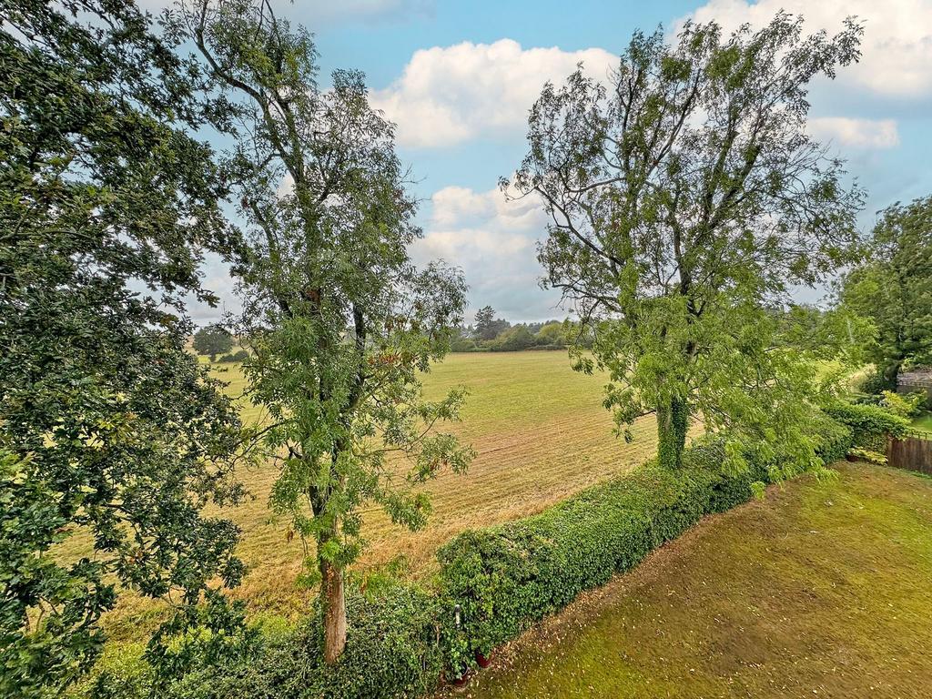 Kitchen View