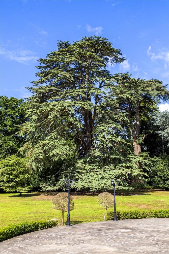 Mature Gardens