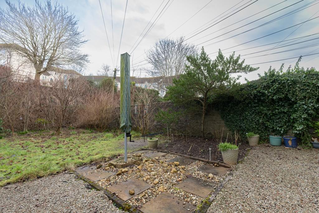 Backgarden Plot - edited