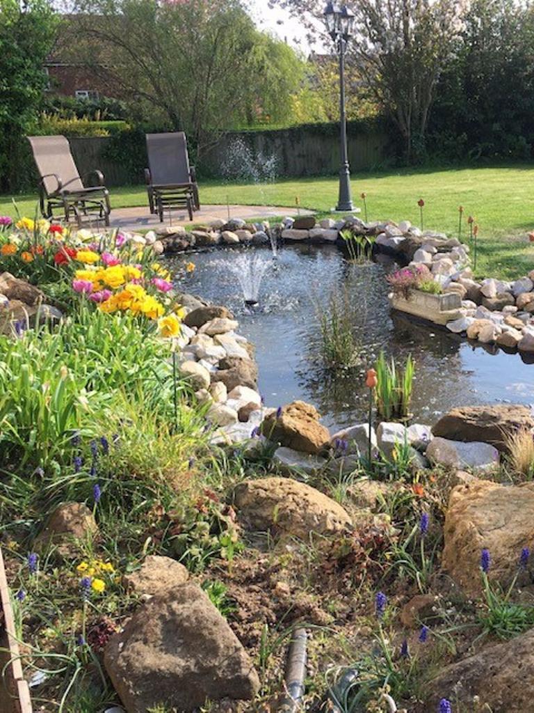 Pond