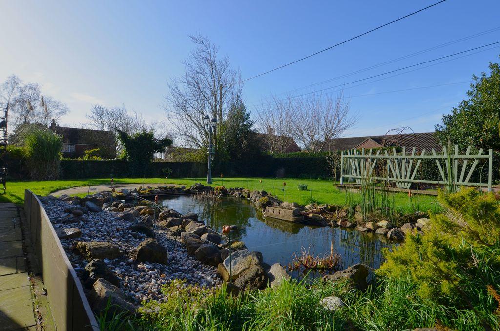 Pond