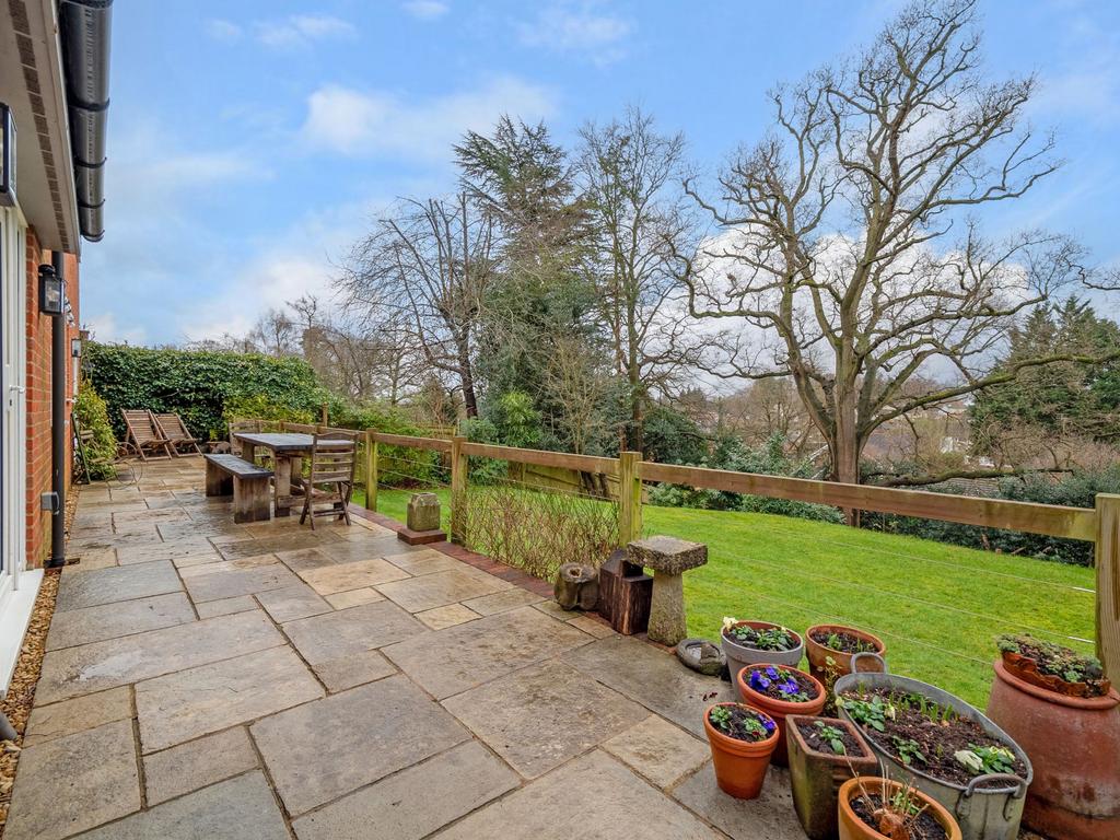 The back garden