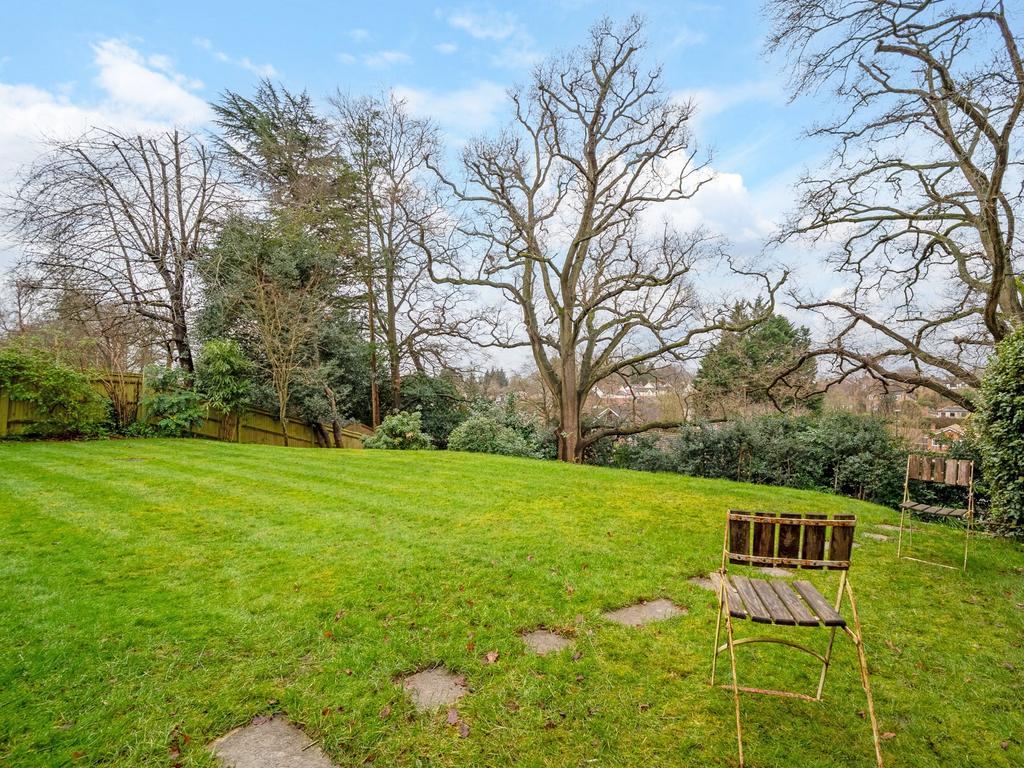 Back garden