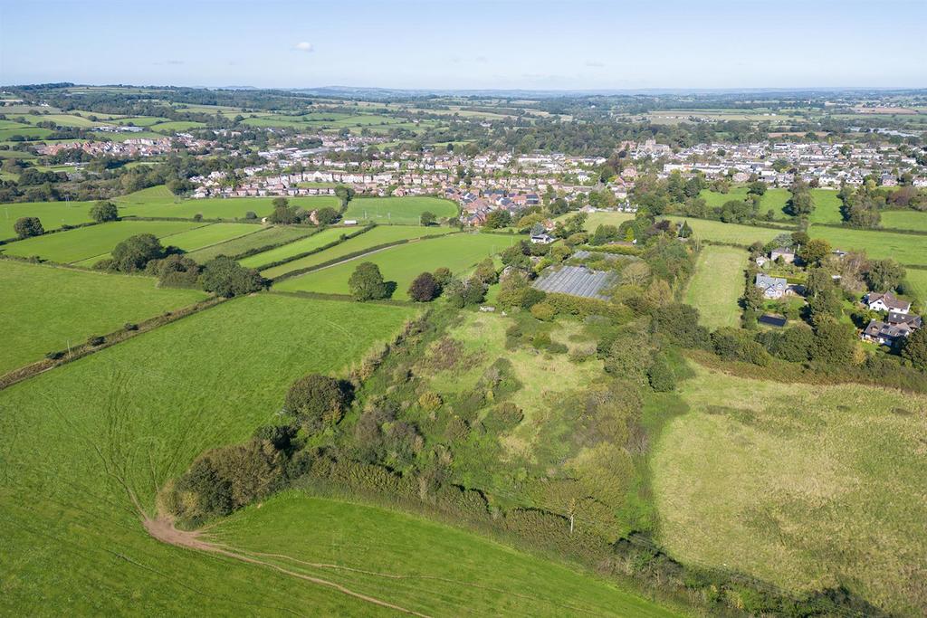 Oak Tree Nursery Drone.3.jpg
