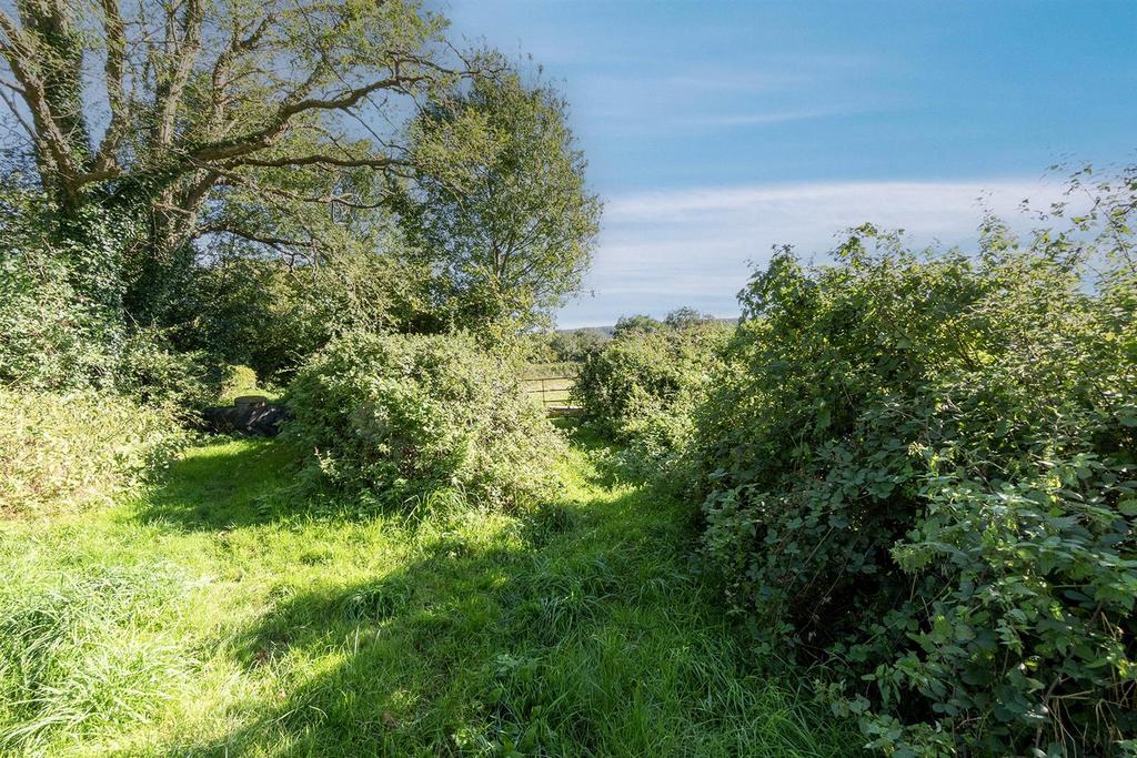 Oak Tree Nursery.9.jpg