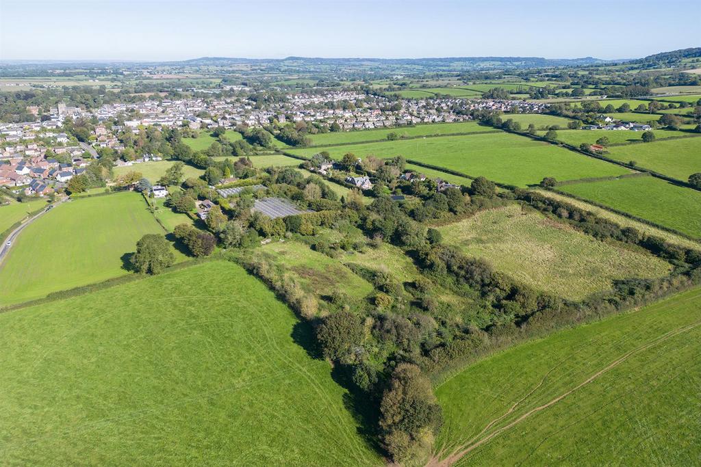 Oak Tree Nursery Drone.2.jpg
