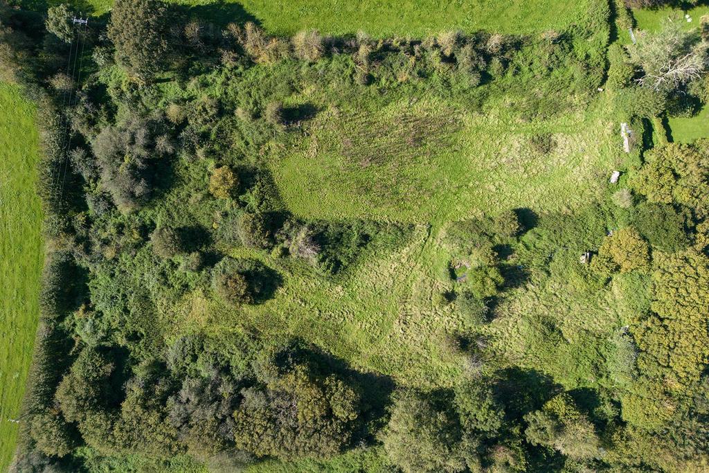 Oak Tree Nursery Drone.4.jpg