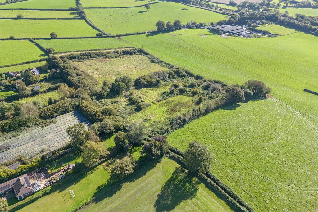 Oak Tree Nursery Drone.5.jpg