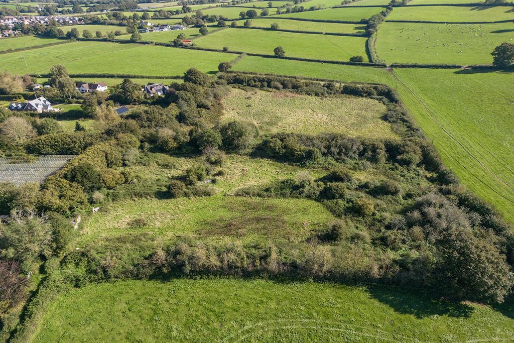 Oak Tree Nursery Drone.6.jpg