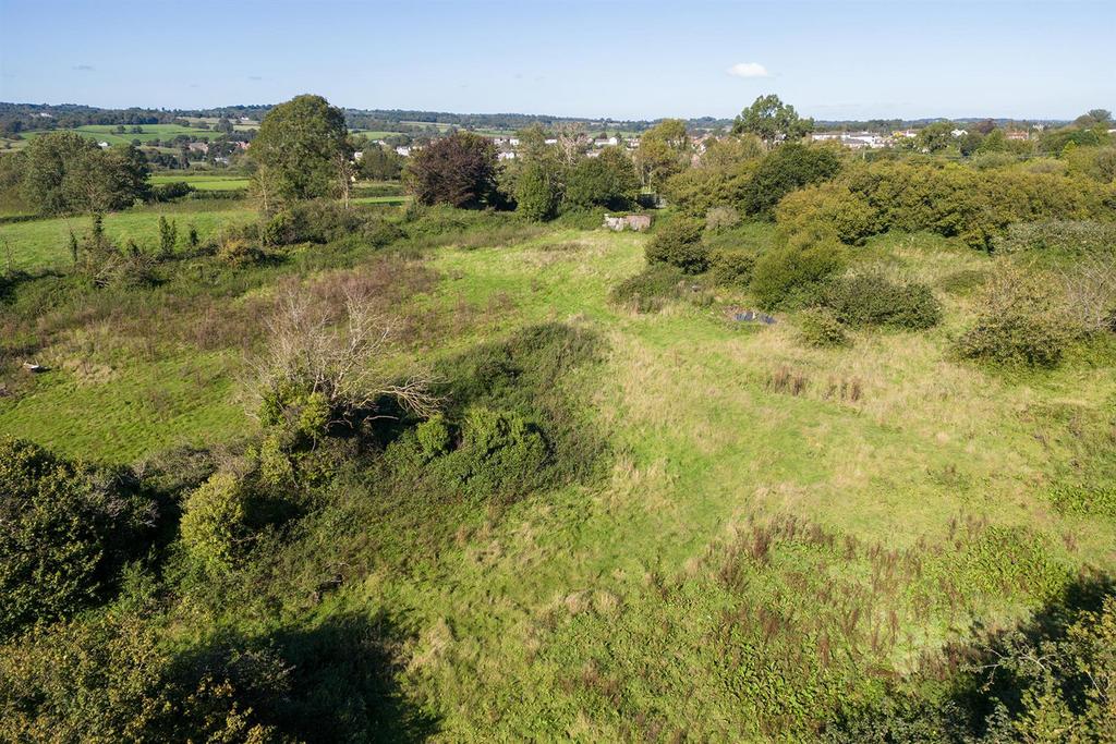 Oak Tree Nursery Drone.7.jpg
