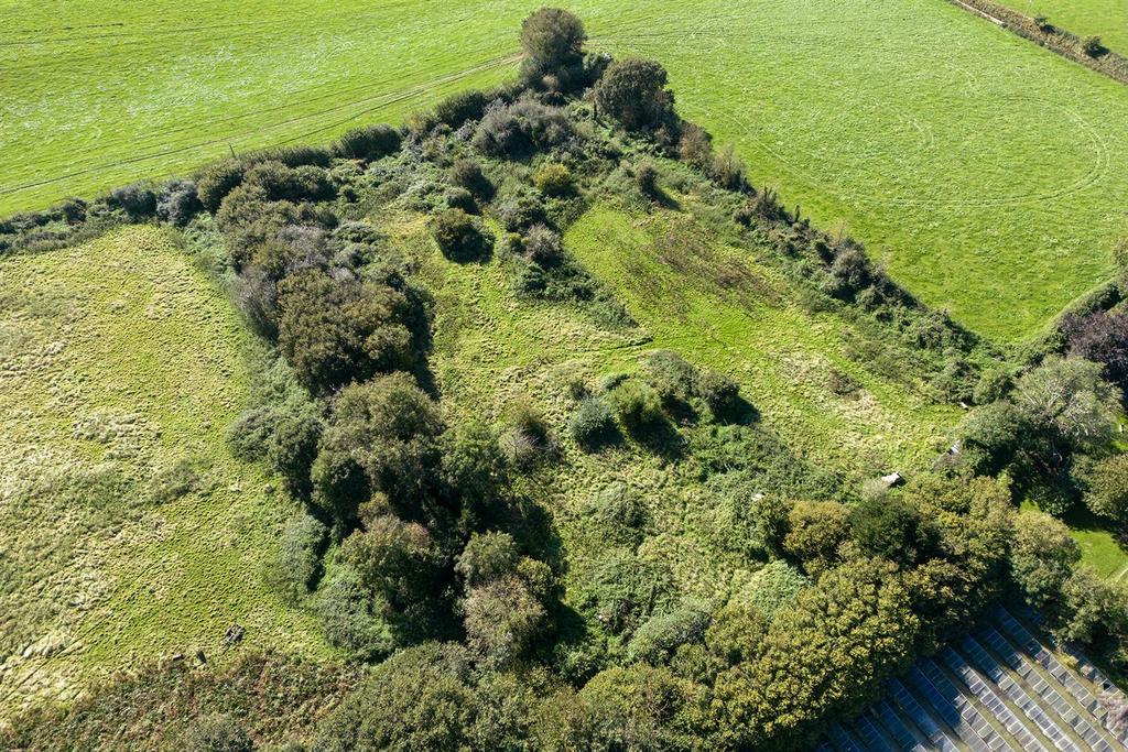 Oak Tree Nursery Drone.8.jpg