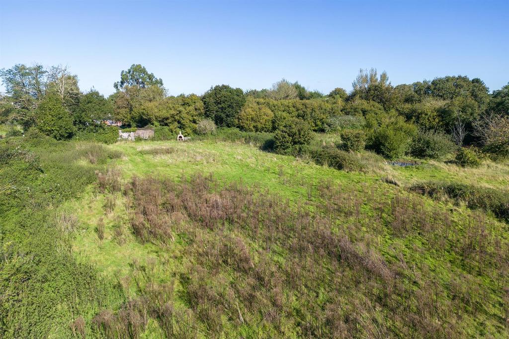Oak Tree Nursery Drone.10.jpg