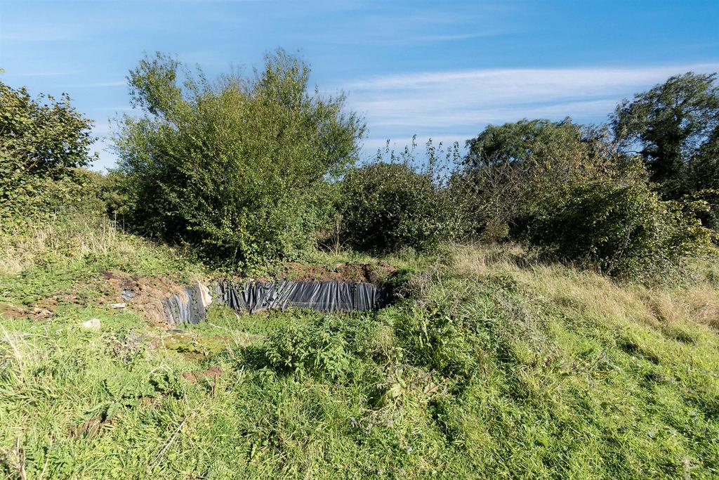 Oak Tree Nursery.4.jpg