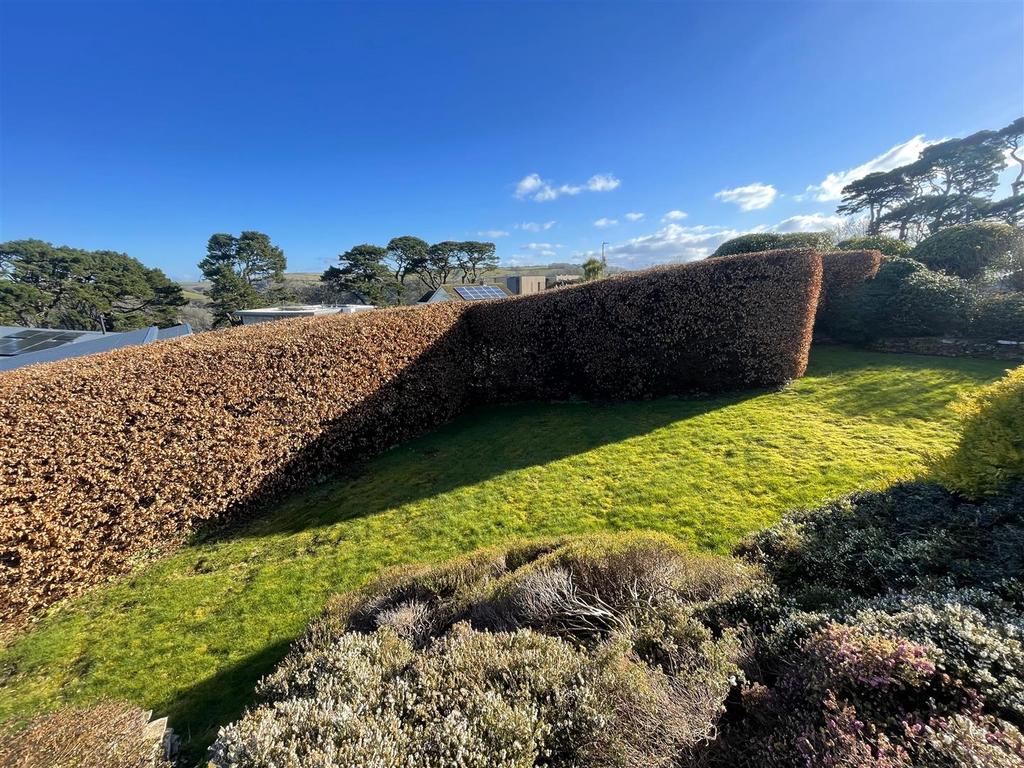 Front garden 2.jpg