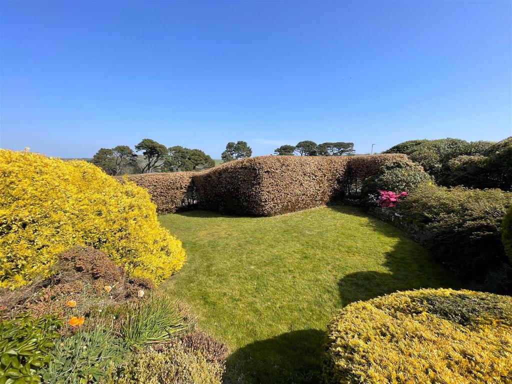 Garden .jpg