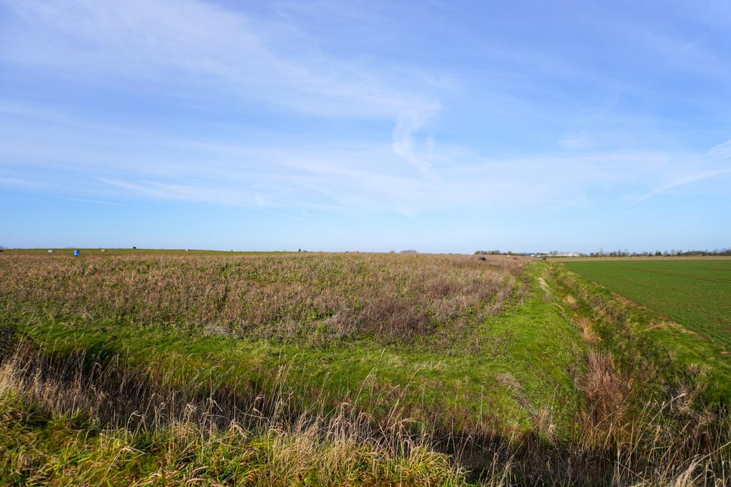 Land