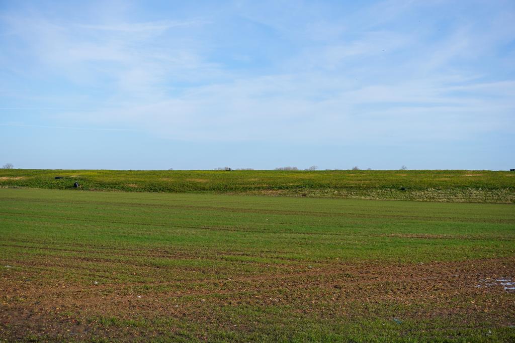 Land