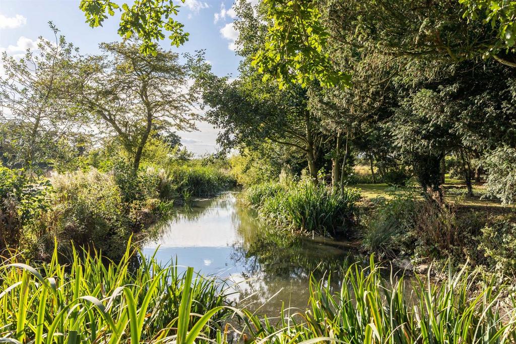 Wildlife Pond
