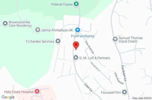 Google Maps Image