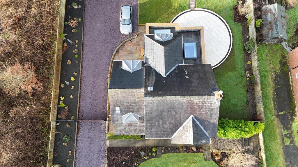 Dji fly 20250129 94738 am 0092 1738144205778 photo