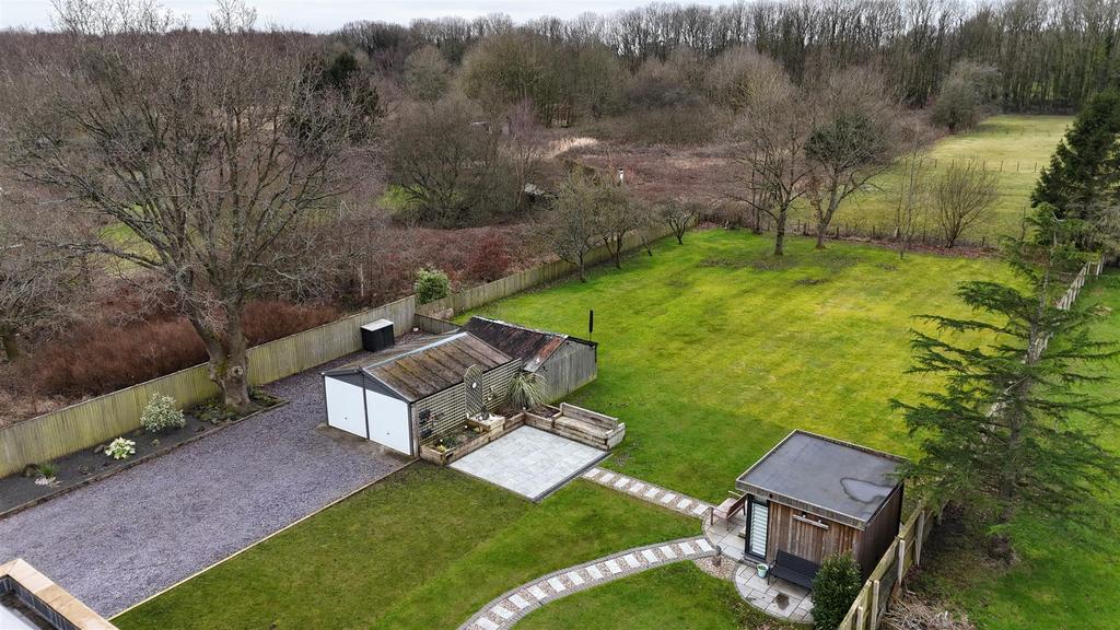 Dji fly 20250213 105720 0122 1739444723261 photo.J