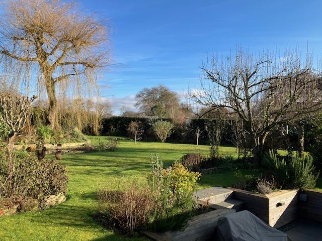 Garden 4.jpg