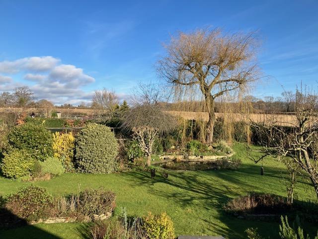 Garden 5.jpg