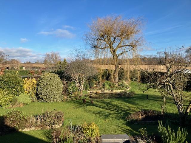 Garden 7.jpg
