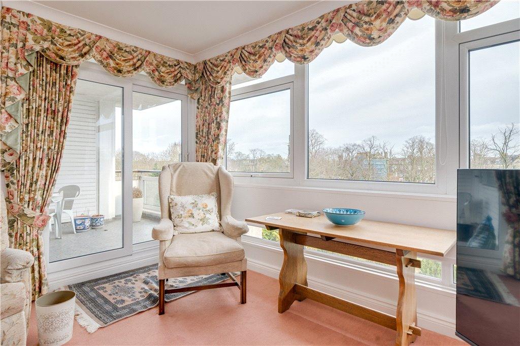 Stray Window
